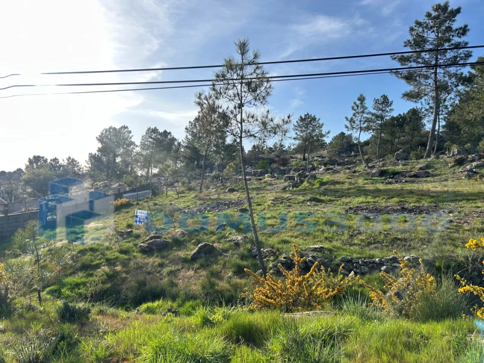 Terreno para Venda em Mouçós e Lamares Foto 5