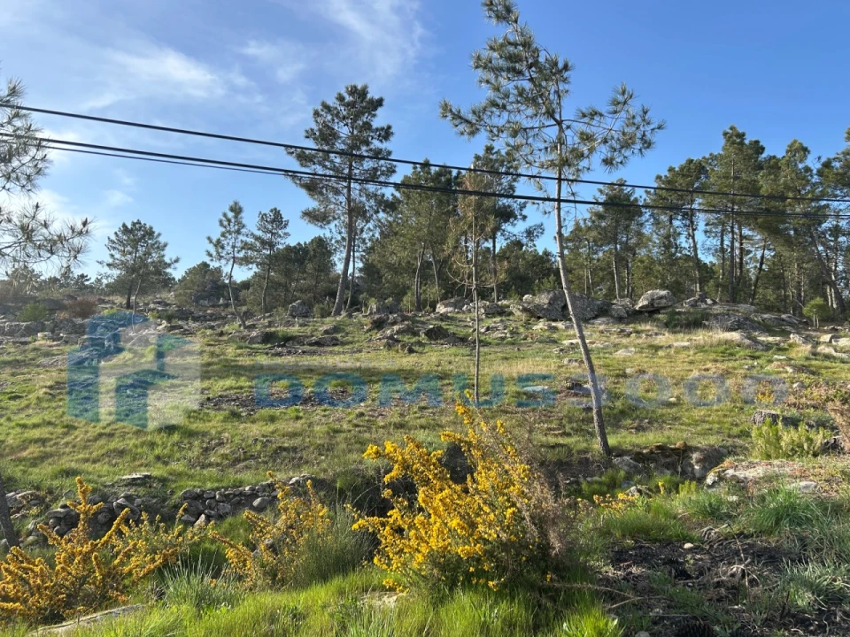 Terreno para Venda em Mouçós e Lamares Foto 9