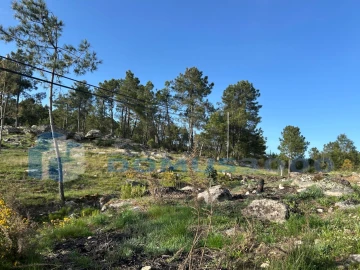 Terreno para Venda em Mouçós e Lamares