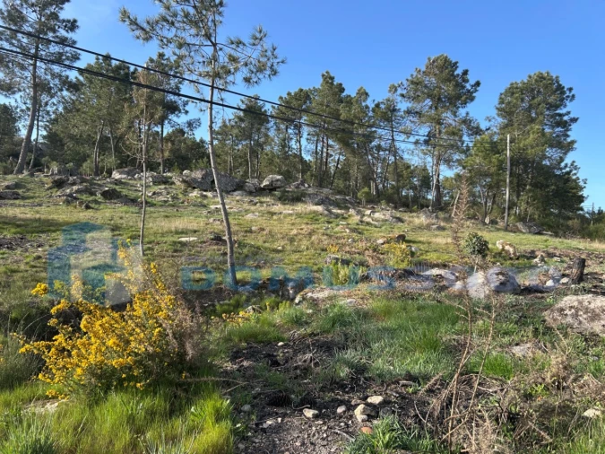 Terreno para Venda em Mouçós e Lamares Foto 4