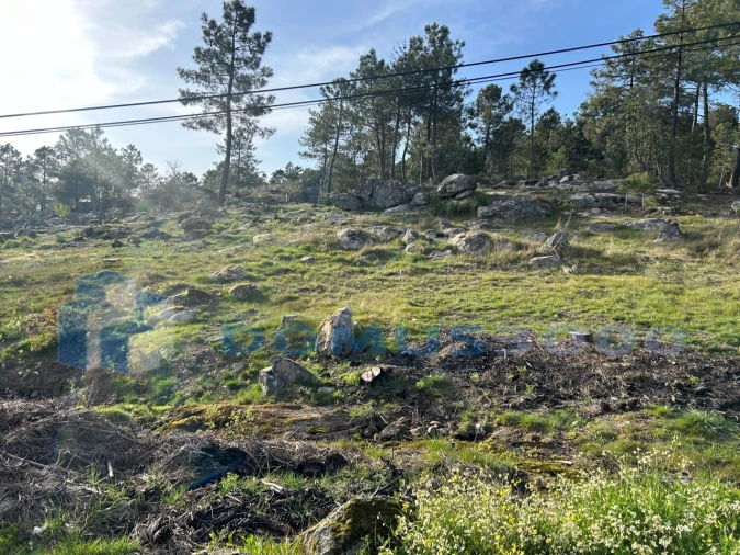 Terreno para Venda em Mouçós e Lamares Foto 7