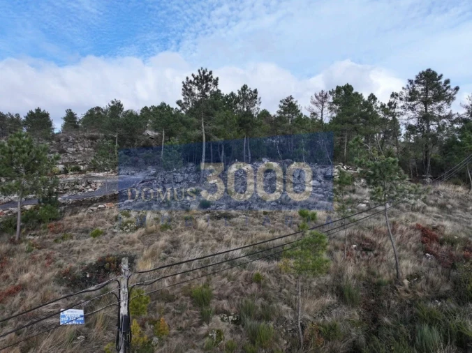Terreno para Venda em Mouçós e Lamares Foto 2