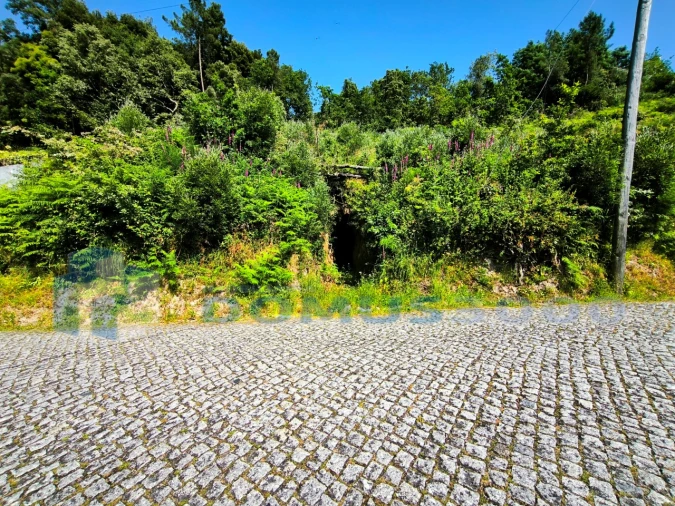 Terreno para Venda em Ansiães Foto 2