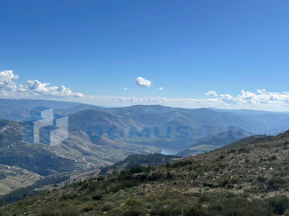 Terreno para Venda em Provesende, Gouvães Douro, São Cristóvão Douro Foto 1