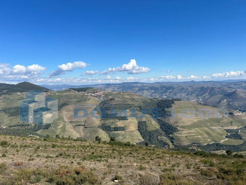 Terreno para Venda em Provesende, Gouvães Douro, São Cristóvão Douro Foto 3