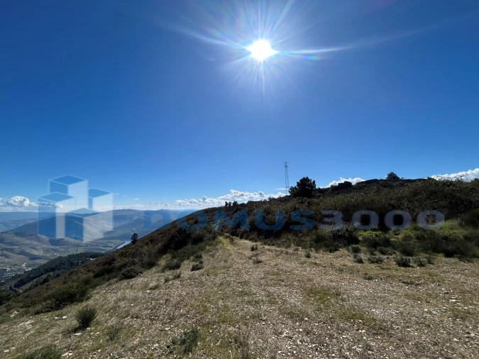Terreno para Venda em Provesende, Gouvães Douro, São Cristóvão Douro Foto 2