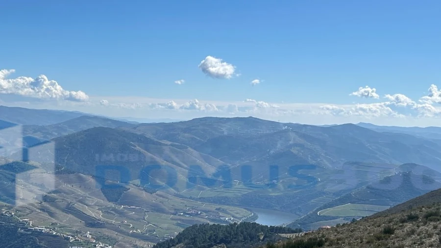 Terreno para Venda em Provesende, Gouvães Douro, São Cristóvão Douro