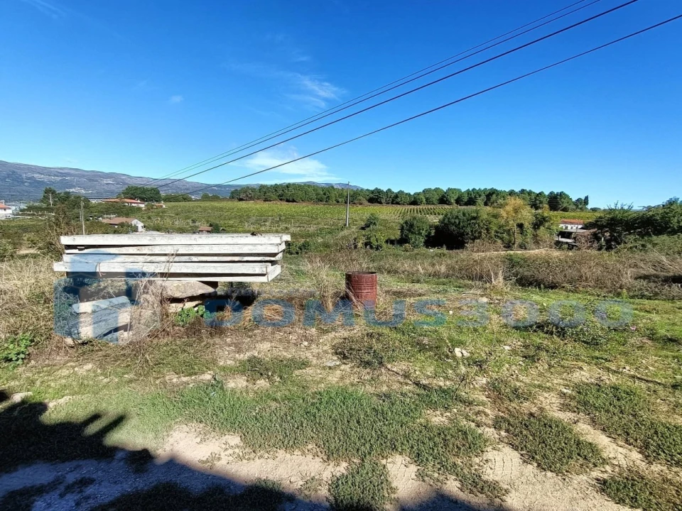 Terreno para Venda em Folhadela Foto 6