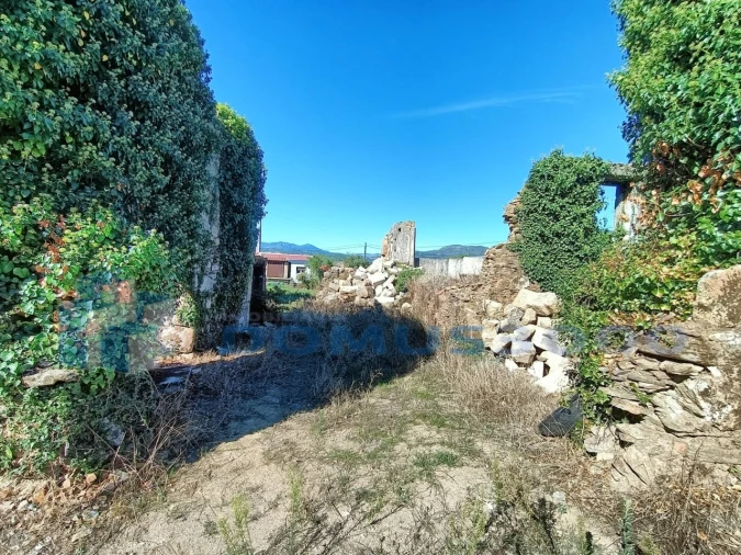 Terreno para Venda em Folhadela Foto 10
