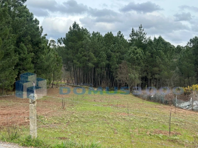 Terreno para Arrendamento em Andrães