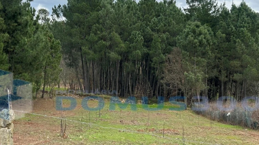 Terreno para Arrendamento em Andrães