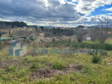 Terreno para Venda em Constantim e Vale de Nogueiras