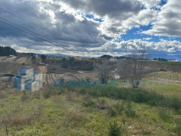 Terreno para Venda em Constantim e Vale de Nogueiras