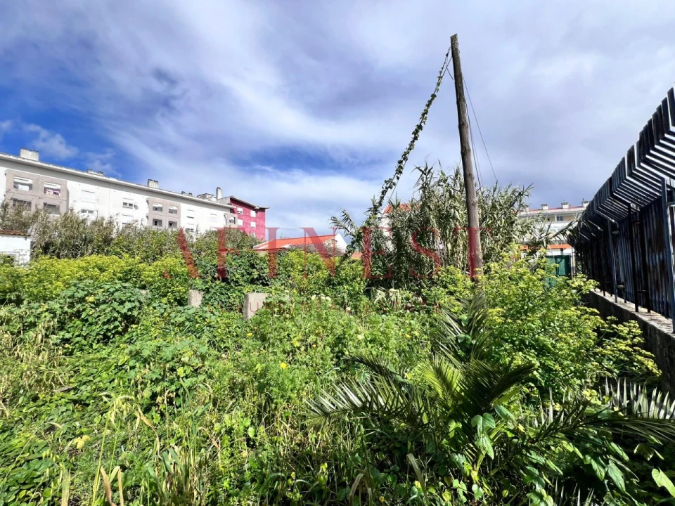 Terreno para Venda em Ajuda Foto 4