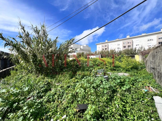 Terreno para Venda em Ajuda Foto 1