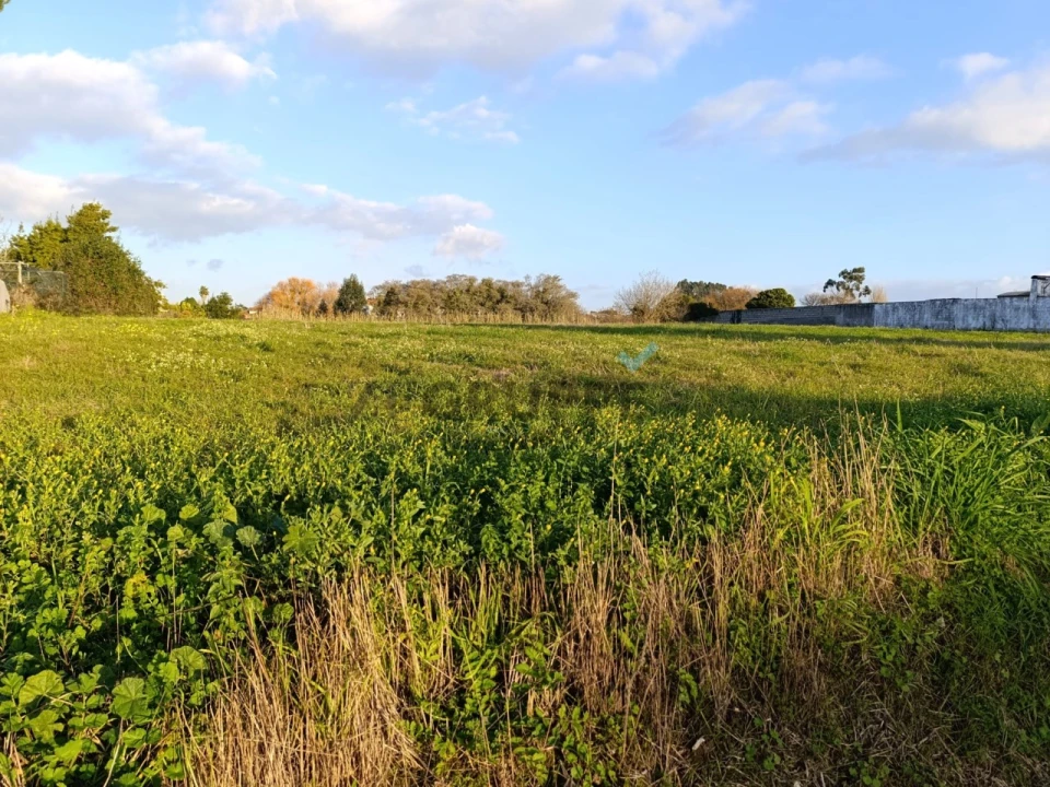 Terreno para Venda em Ílhavo (São Salvador) Foto 3