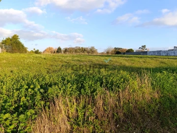 Terreno para Venda em Ílhavo (São Salvador)