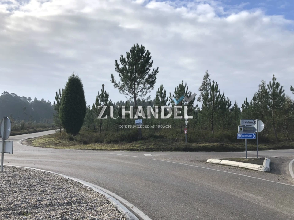 Terreno para Venda em Avelãs de Caminho Foto 3