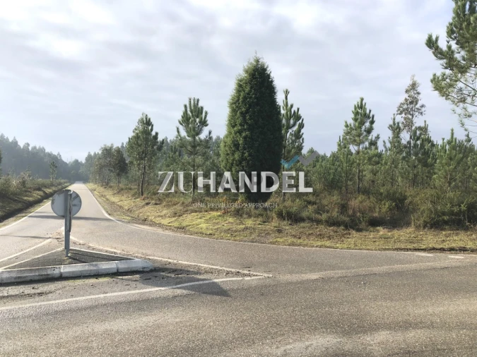 Terreno para Venda em Avelãs de Caminho Foto 1