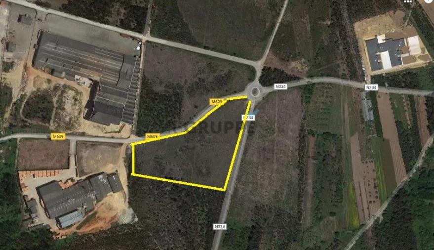 Terreno para Venda em Avelãs de Caminho Foto 4