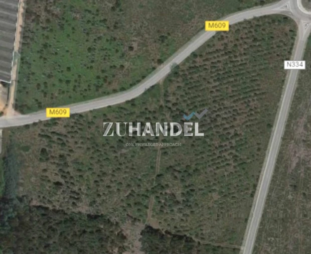 Terreno para Venda em Avelãs de Caminho Foto 5