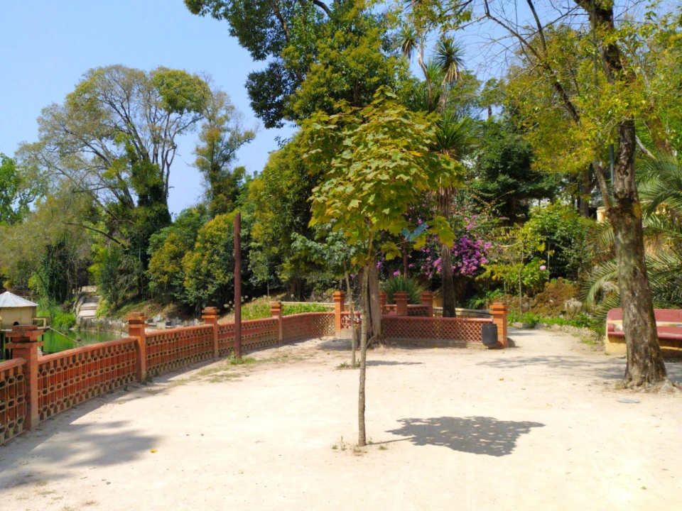 Terreno para Venda em Silva Escura e Dornelas Foto 12