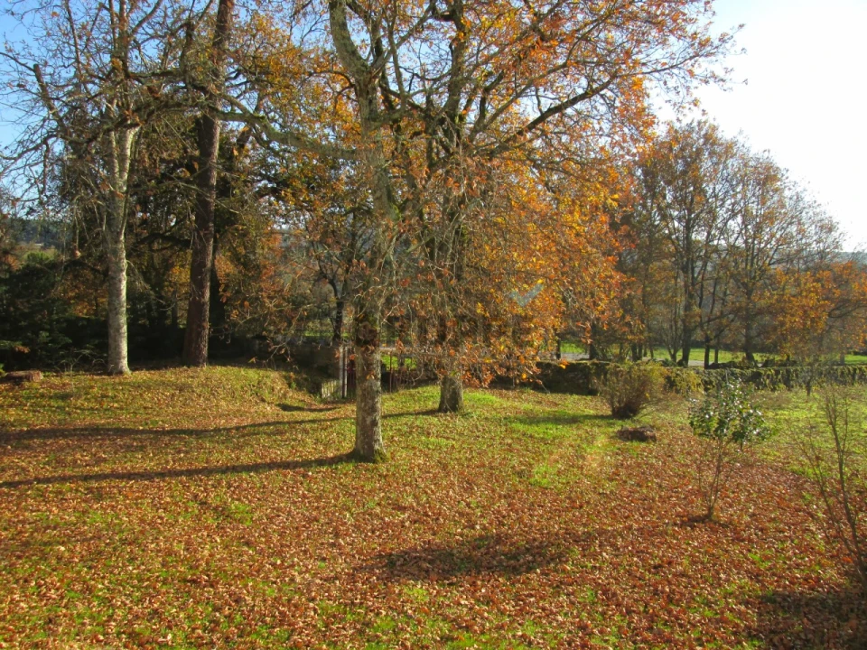 Terreno para Venda em Silva Escura e Dornelas Foto 7