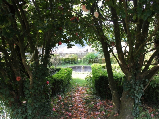 Terreno para Venda em Silva Escura e Dornelas Foto 9