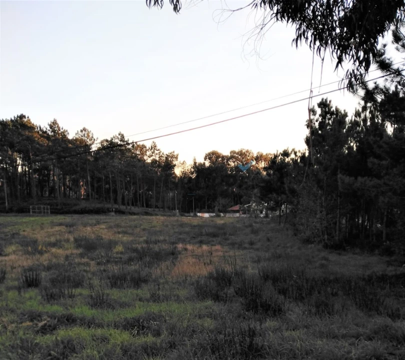 Terreno para Venda em Eixo e Eirol Foto 7