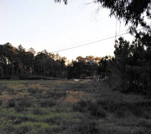 Terreno para Venda em Eixo e Eirol