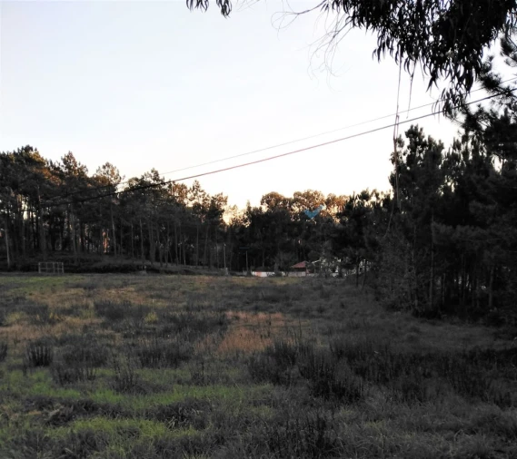 Terreno para Venda em Eixo e Eirol Foto 7