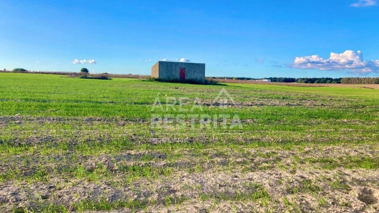 Terreno para Venda em Poceirão e Marateca Foto 5