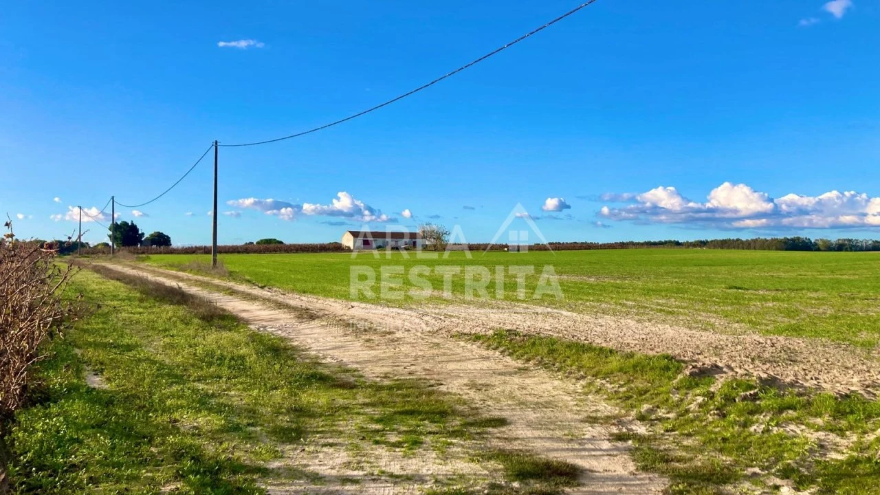 Terreno para Venda em Poceirão e Marateca Foto 6