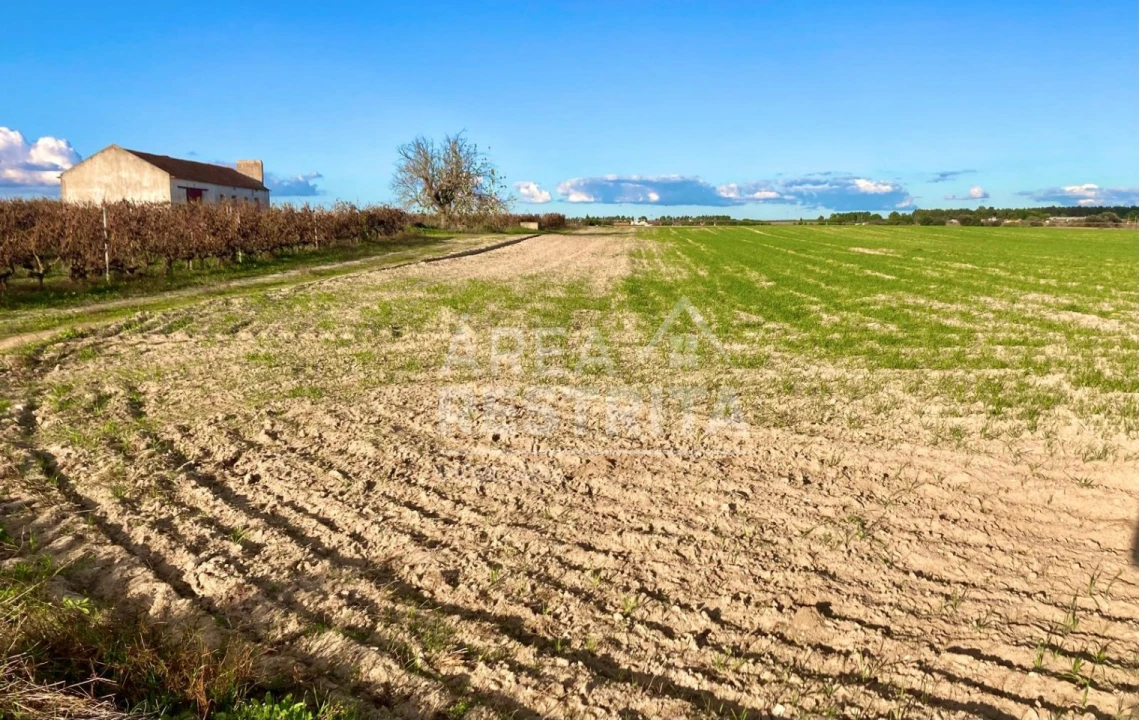 Terreno para Venda em Poceirão e Marateca Foto 7
