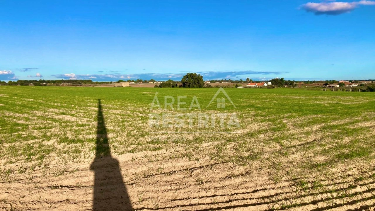 Terreno para Venda em Poceirão e Marateca Foto 8