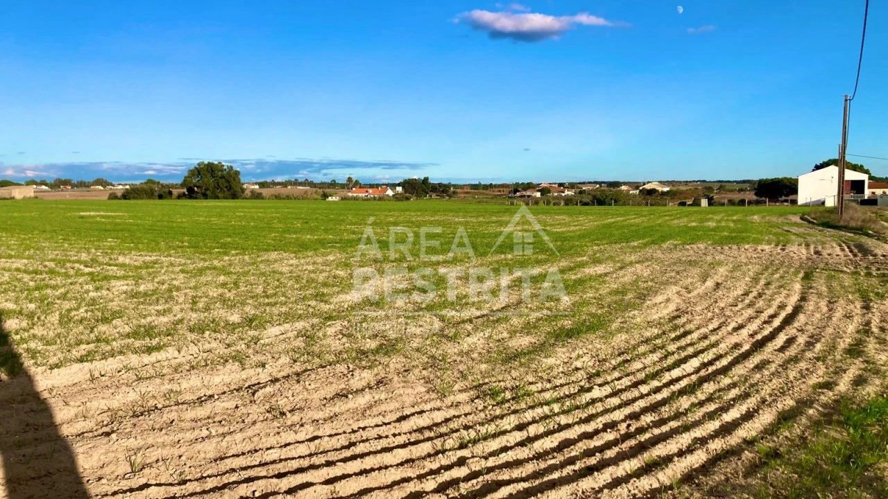 Terreno para Venda em Poceirão e Marateca Foto 11