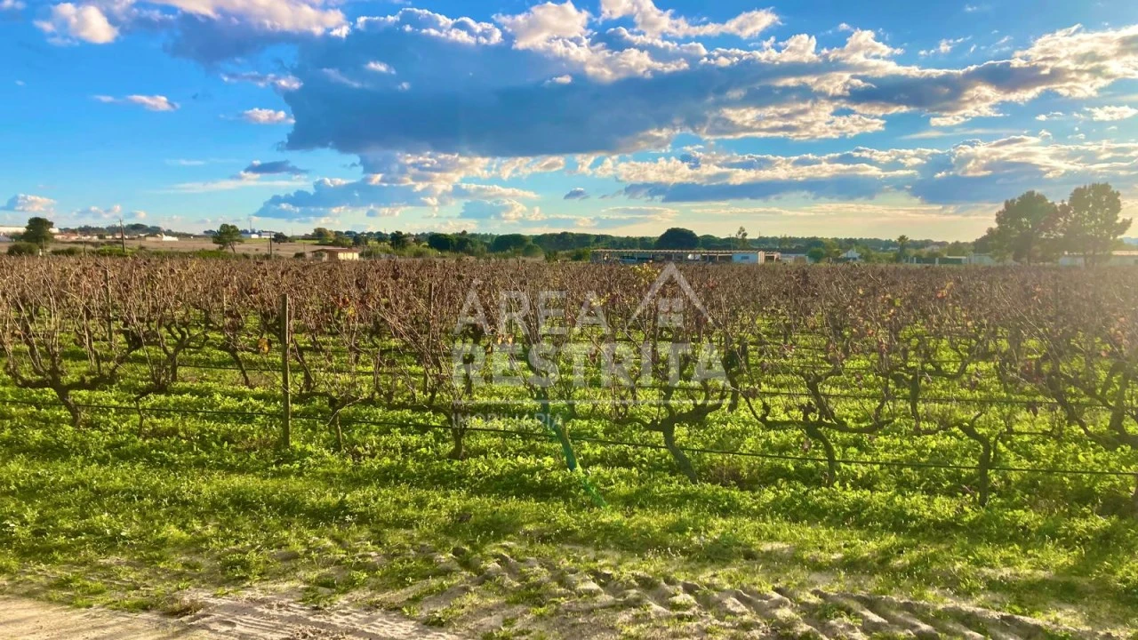 Terreno para Venda em Poceirão e Marateca Foto 13