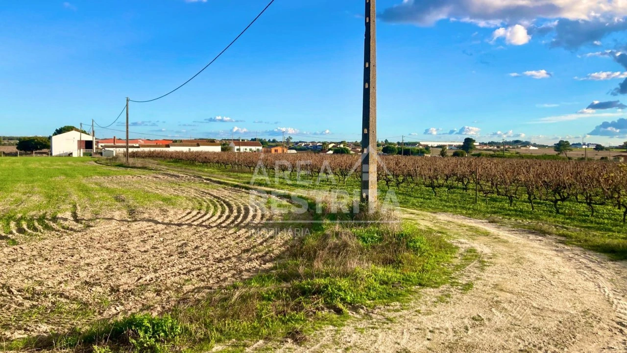Terreno para Venda em Poceirão e Marateca Foto 14