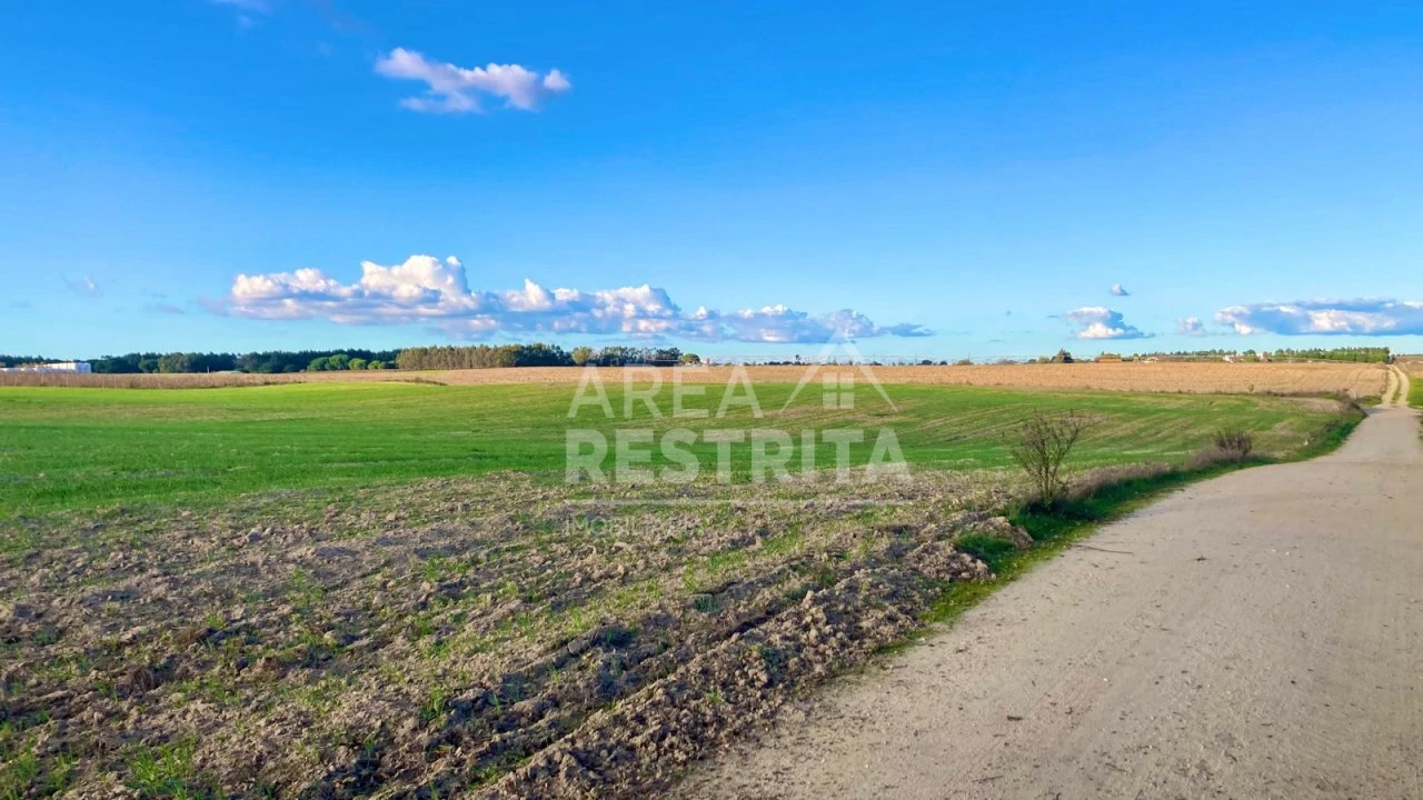 Terreno para Venda em Poceirão e Marateca Foto 18