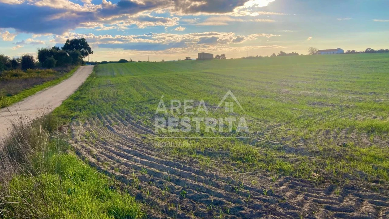 Terreno para Venda em Poceirão e Marateca Foto 20