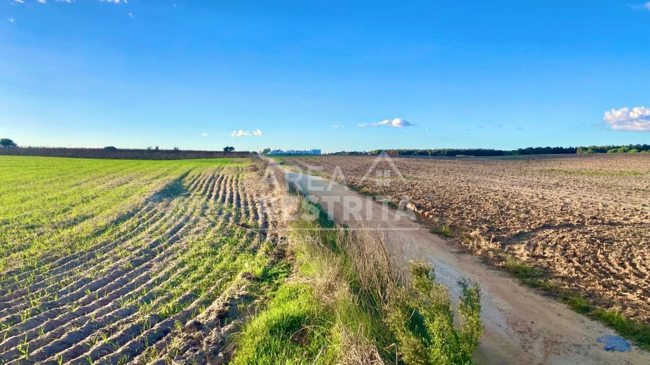 Terreno para Venda em Poceirão e Marateca Foto 22