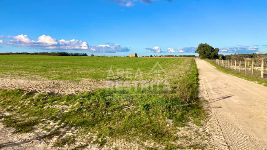 Terreno para Venda em Poceirão e Marateca Foto 4