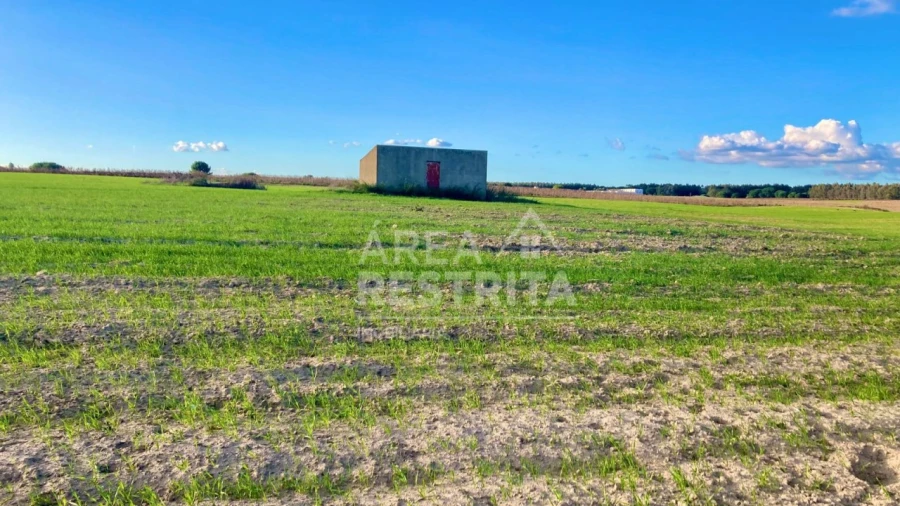 Terreno para Venda em Poceirão e Marateca Foto 5
