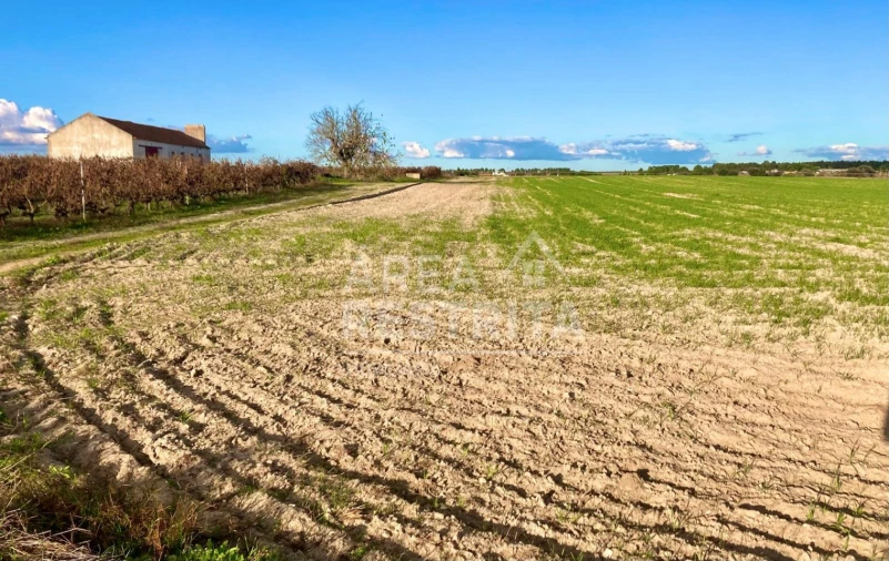 Terreno para Venda em Poceirão e Marateca Foto 7