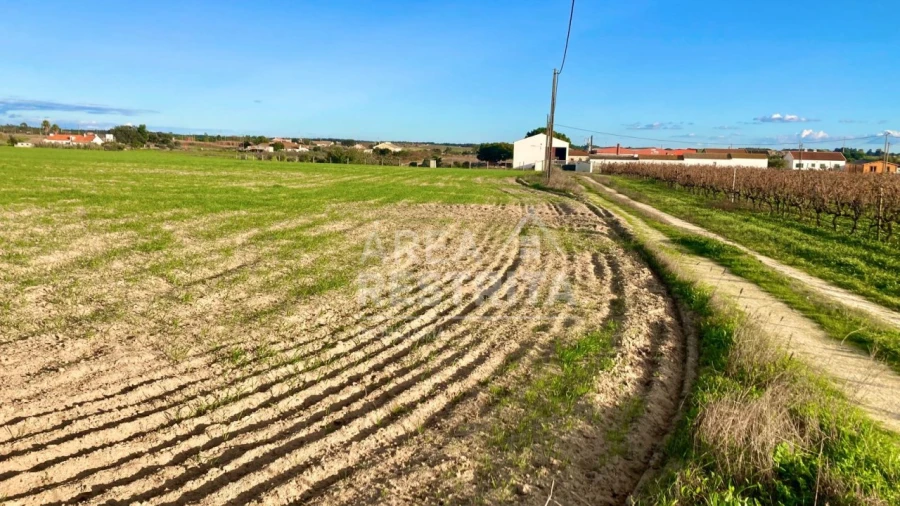 Terreno para Venda em Poceirão e Marateca Foto 9