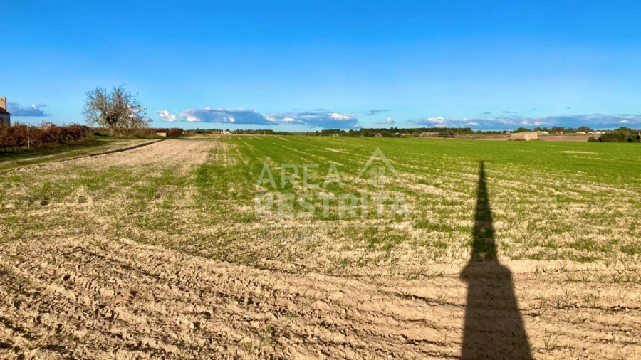 Terreno para Venda em Poceirão e Marateca Foto 10