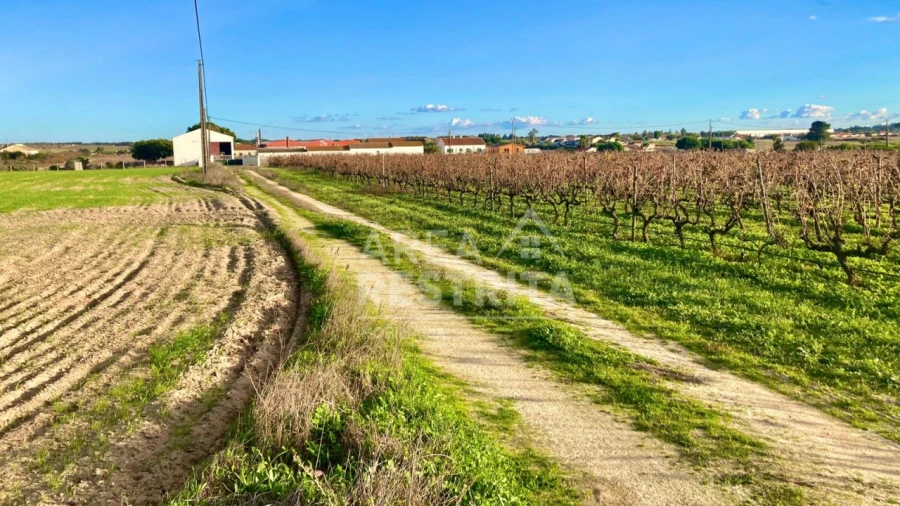 Terreno para Venda em Poceirão e Marateca Foto 12