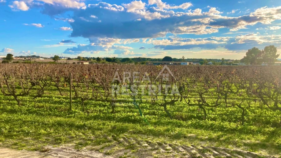 Terreno para Venda em Poceirão e Marateca Foto 13