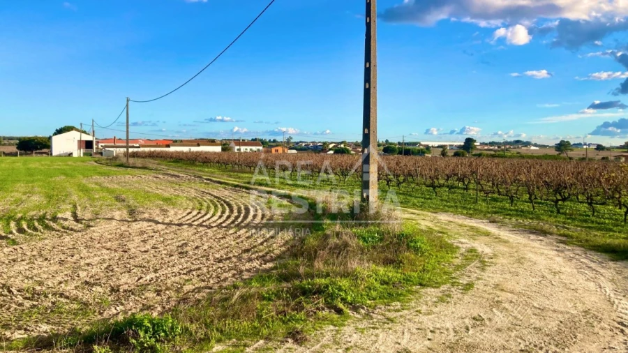 Terreno para Venda em Poceirão e Marateca Foto 14