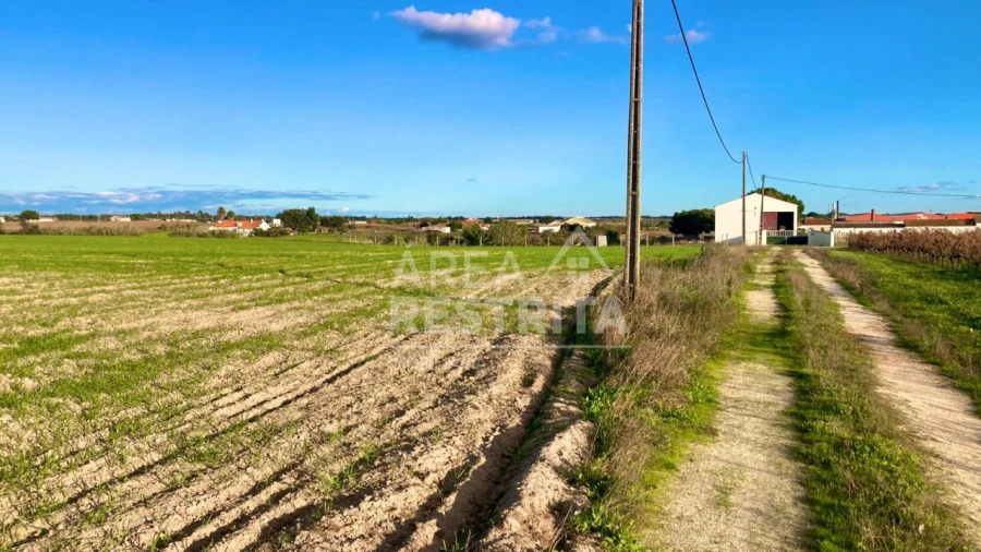 Terreno para Venda em Poceirão e Marateca Foto 15